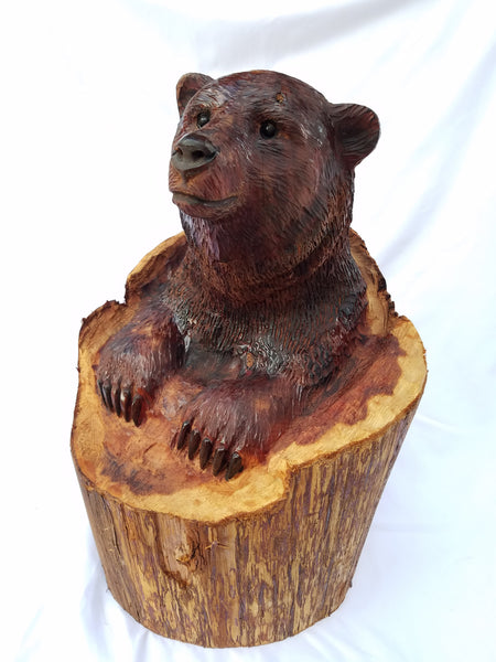 Bear in Upright Log