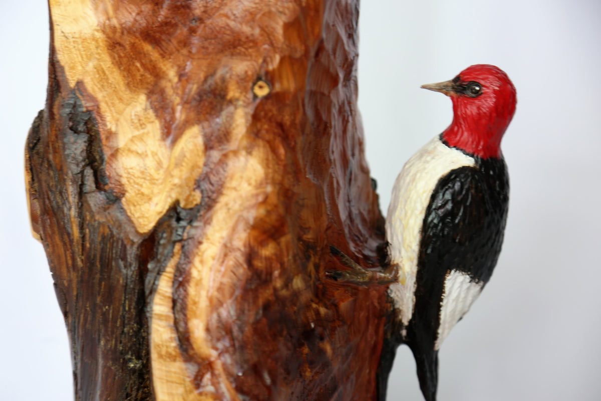 Red Headed Woodpecker – Fine Wood Carvings