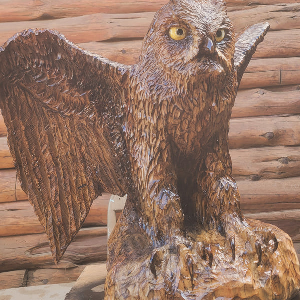 Owl