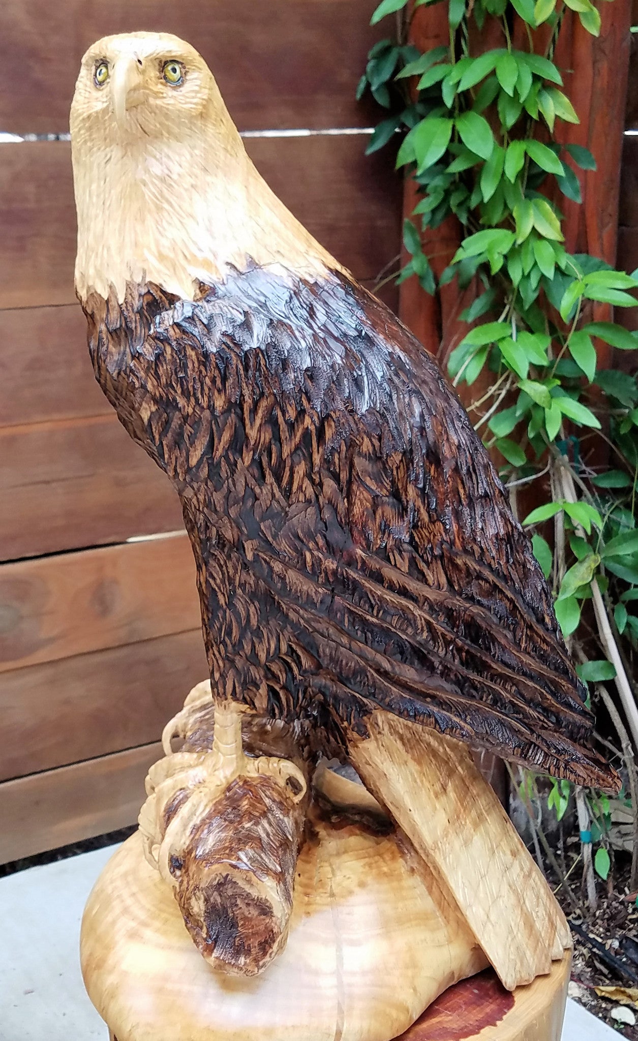 Bald Eagle Perched – Fine Wood Carvings
